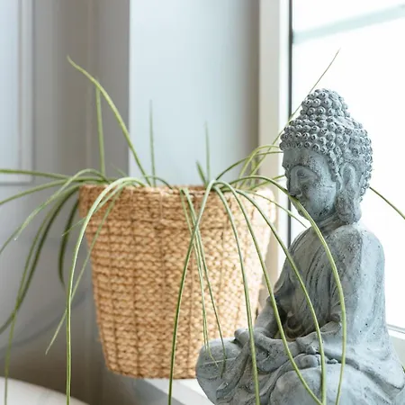 Bed and breakfast Lindegaarden Kollund 3*