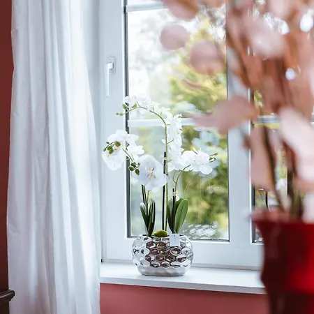 Bed and breakfast Lindegaarden Kollund