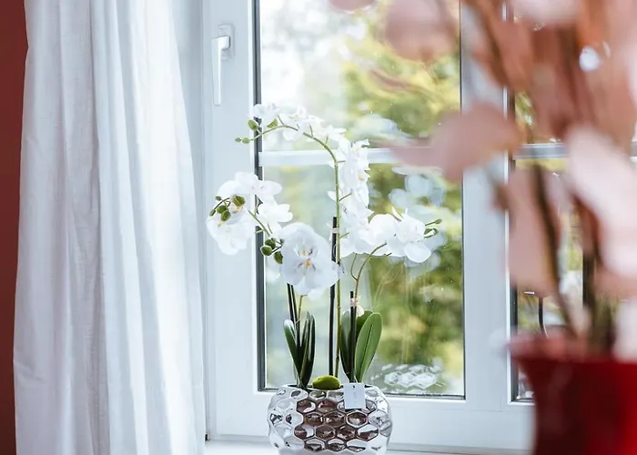 Bed & Breakfast Lindegaarden Kollund